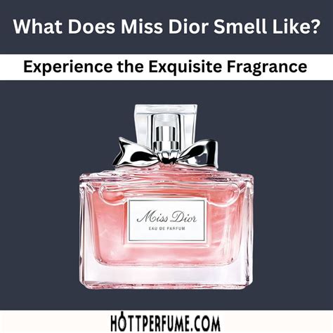 miss dior fragrance description|what does miss dior perfume smell like.